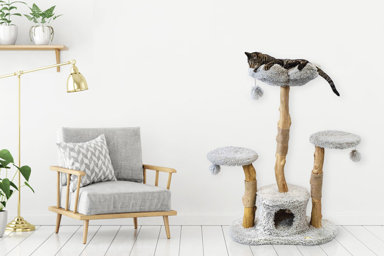 Cat tree hot sale wayfair